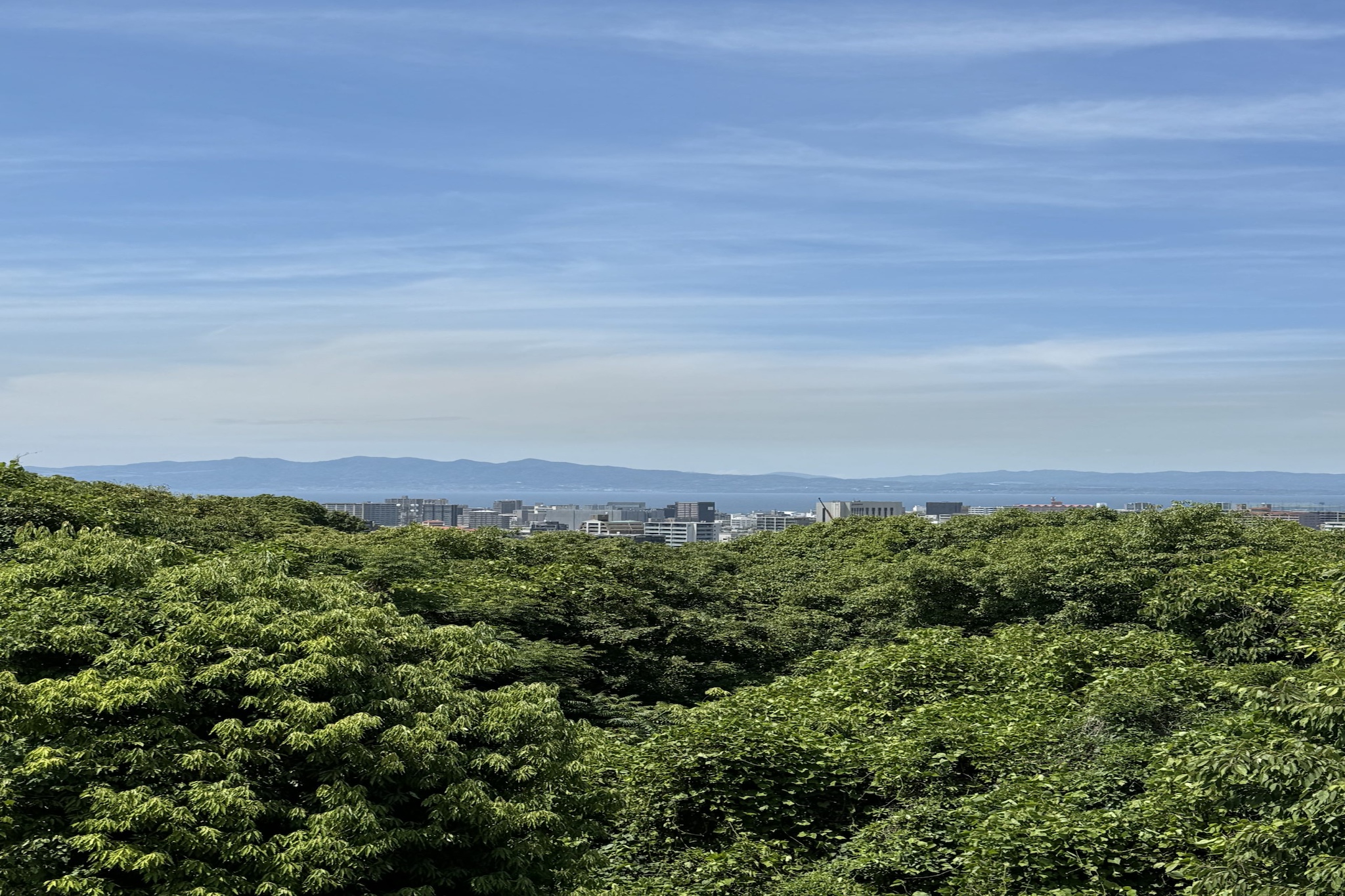 地方移住転職